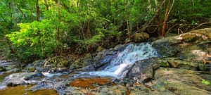 water fall land (21)