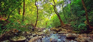 water fall land (24)