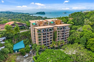 Treetop-AltosView4