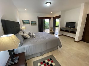 rs2100280_img-9_large