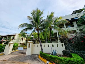 cocosunset (32)