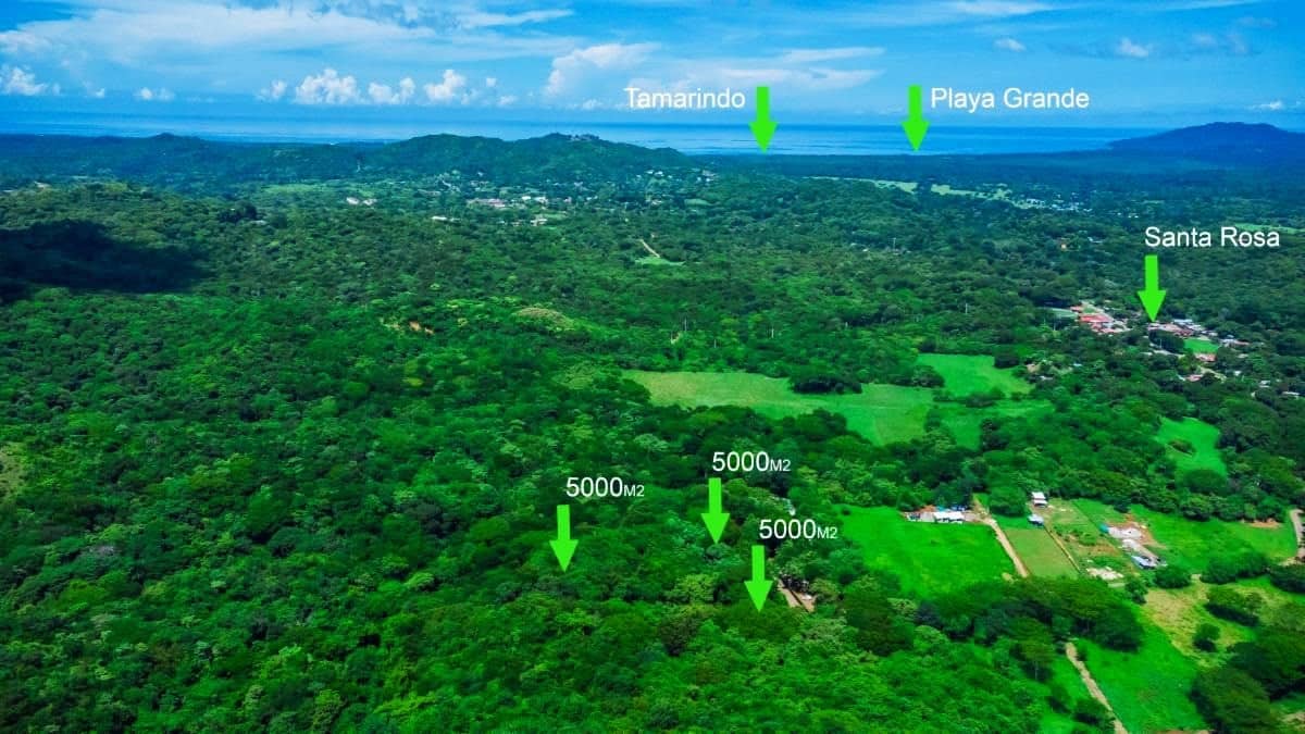 Eco-friendly lots for sale in prime real estate, ideal for land developments. Seize this opportunity in a top destination for a sustainable lifestyle.