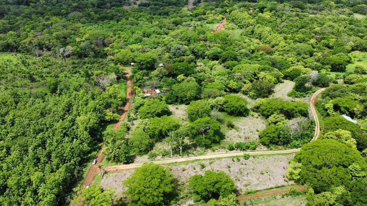 Finca_Duyehisi_de_Avellanas_31500_m2_12