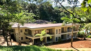 rs1900261_img-32_large