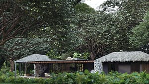 villa 2 (2)