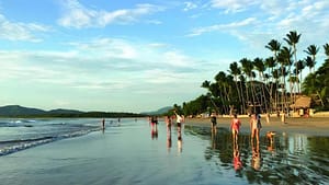 Tamarindo 360.48