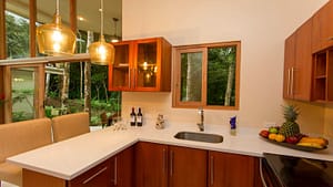 2b7b558b-e262-4b29-818b-4233676cba5f