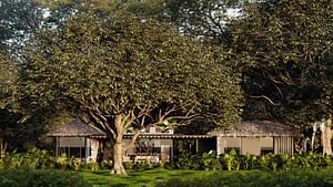 villa 2 (9)