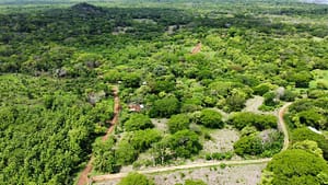 Finca_Duyehisi_de_Avellanas_31500_m2_13