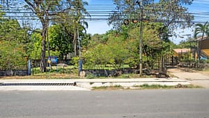 DJI_0137