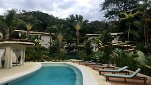 rs1900261_img-30_large