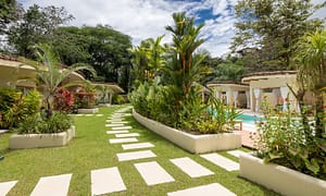 36a9b175-a2e8-45cd-a898-4832651cd405