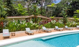 766761eb-f424-4545-880b-67f1095d655c