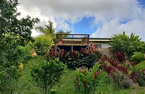Lush tropical garden with native flora, vibrant greenery, and scenic pathways surrounding a luxury retreat near Arenal Volcano, Costa Rica.