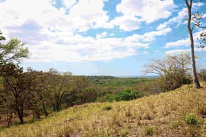 Tamarindo Park Ameneties