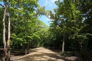 Tamarindo Park Ameneties