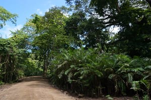 Tamarindo Park Ameneties