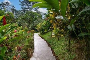 Lush tropical garden with native flora, vibrant greenery, and scenic pathways surrounding a luxury retreat near Arenal Volcano, Costa Rica.