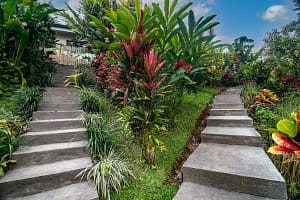 Lush tropical garden with native flora, vibrant greenery, and scenic pathways surrounding a luxury retreat near Arenal Volcano, Costa Rica.