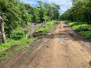 Finca_Duyehisi_de_Avellanas_31500_m2_03