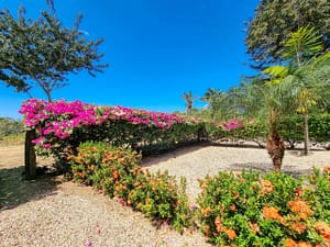 Casa Vista Colores (24)