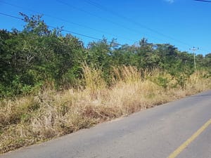 Vista Ridge Glamping Investment | Sardinal, Guanacaste