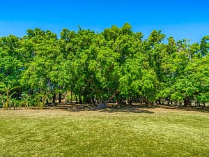 Seahorse Resort (17)