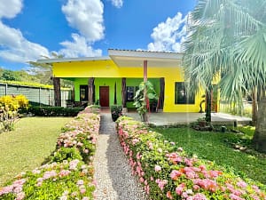 Charming income-generating triplex in Potrero, Costa Rica, featuring three independent 1-bedroom units, tropical gardens, and expansion potential.