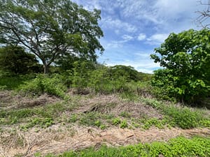 Finca_Duyehisi_de_Avellanas_31500_m2_09