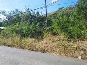 Vista Ridge Glamping Investment | Sardinal, Guanacaste