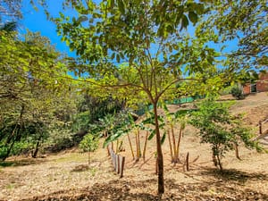 Casa Vista Colores (65)