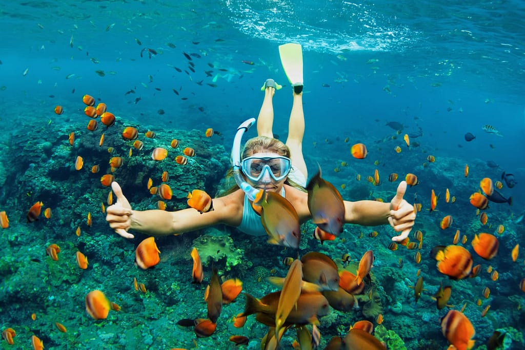 Snorkeler swimming with colorful fish