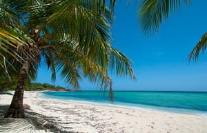 Solitary palm tree overlooking pristine white sands and turquoise ocean at Playa Artista, Paya Bay, Roatan.