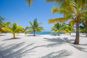 Beachfront lots in Roatan's gated community - your dream investment opportunity