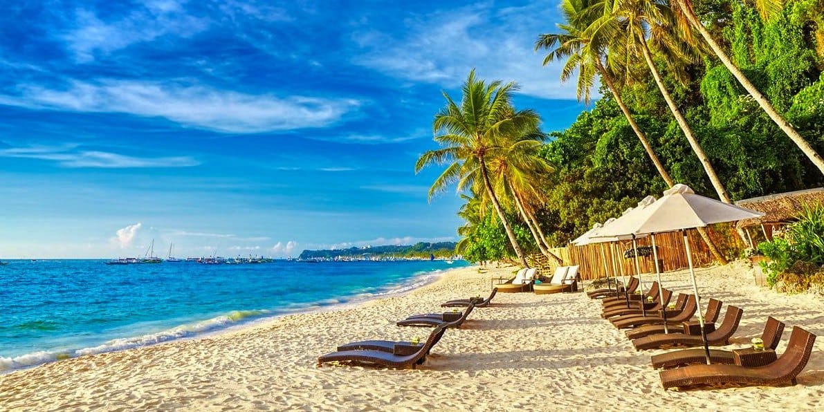 A picture of the palm trees and lush vegetation surrounding the beach.