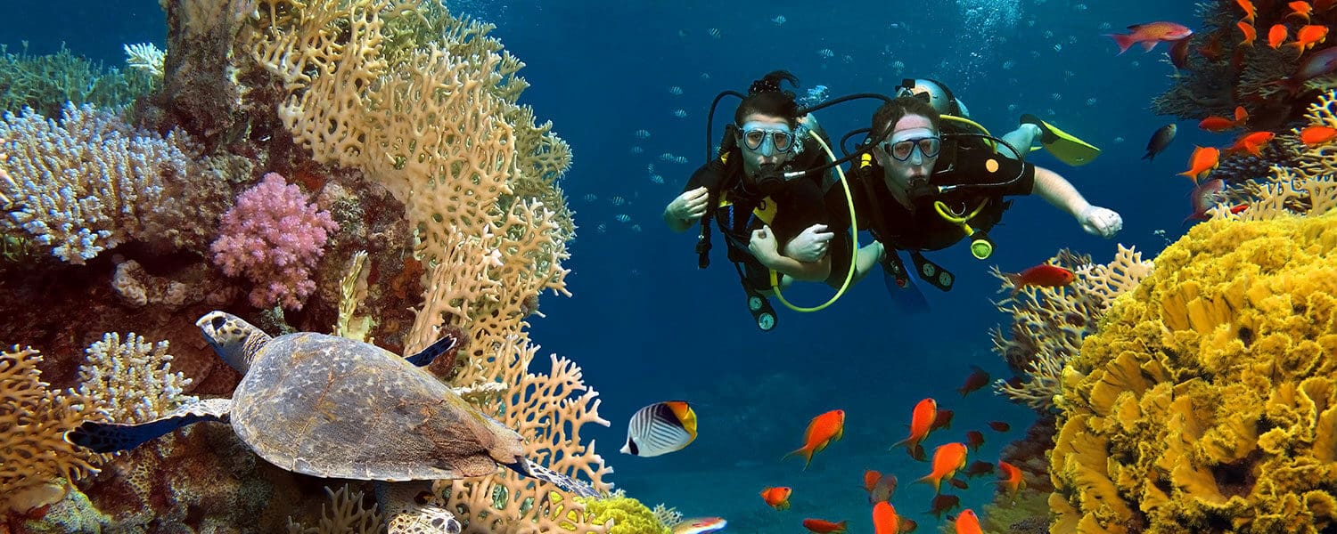 Scuba diver exploring coral reef