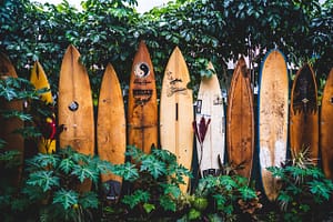 Surf Lessons Tamarindo